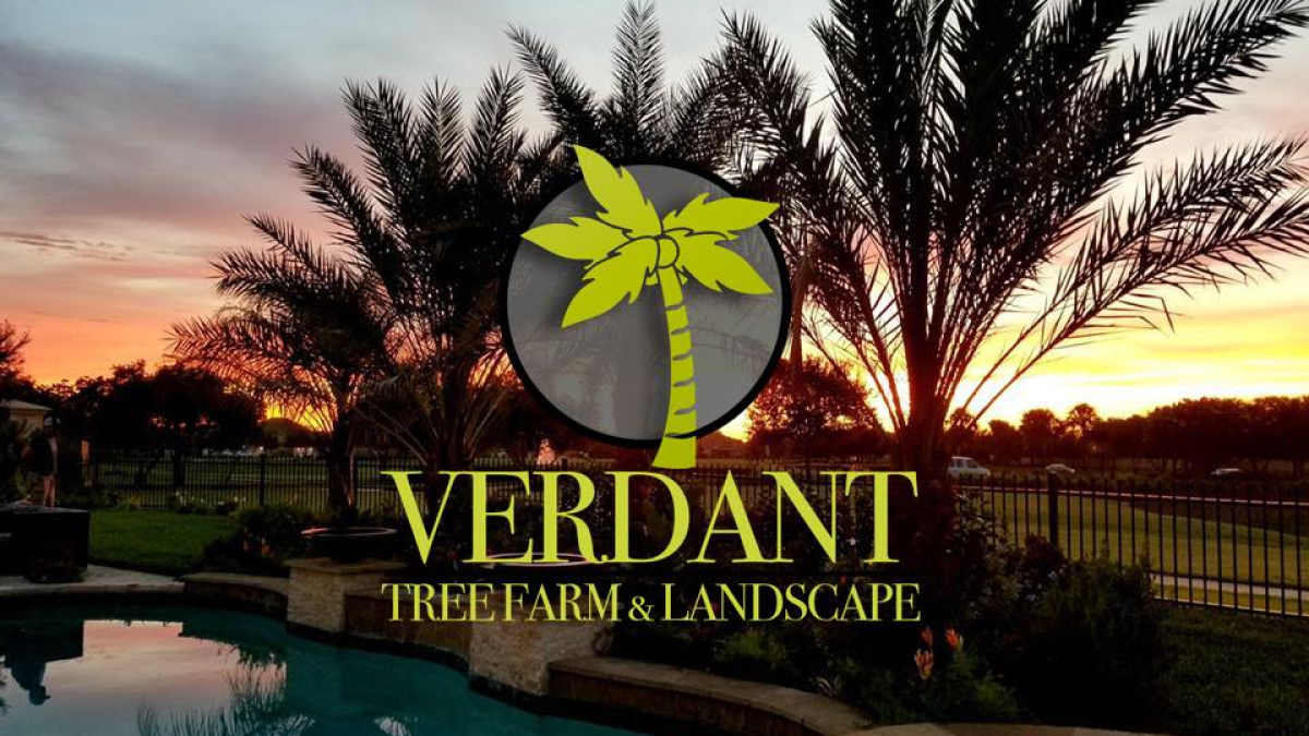 A-5-step-Care-Instruction-for-