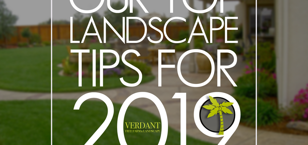 Our Top Landscape Tips of 2019