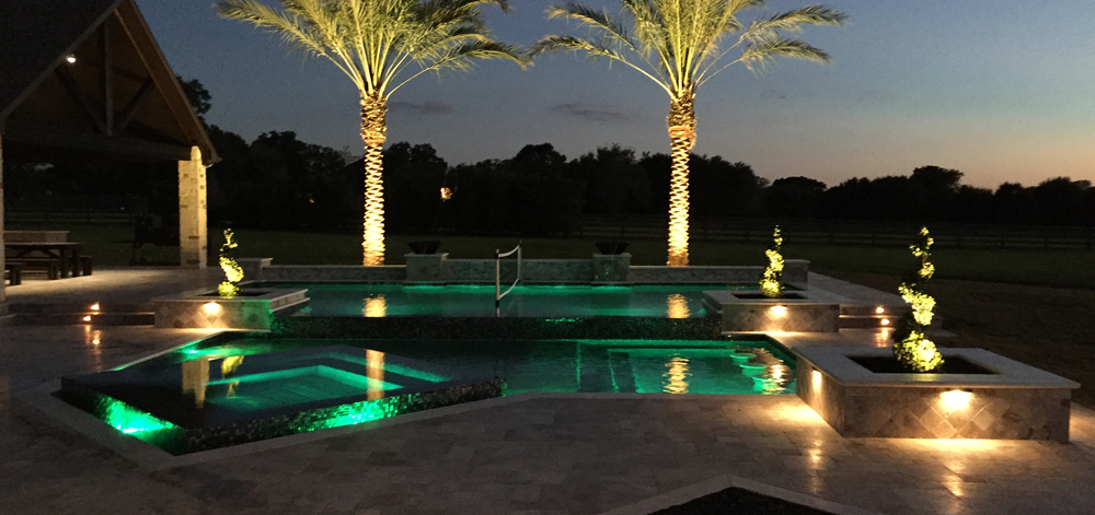 Gorgeous Medjools installed behind a pool