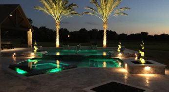 Gorgeous Medjools installed behind a pool