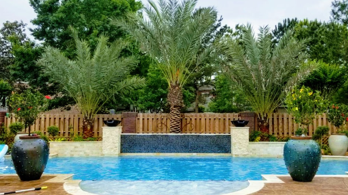Landscaping Ideas for Your Poolside Oasis | Verdant Tree Farm | Houston, TX, image size:1200x675
