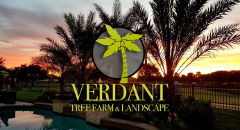 Verdant Mini Movie – October Paradise