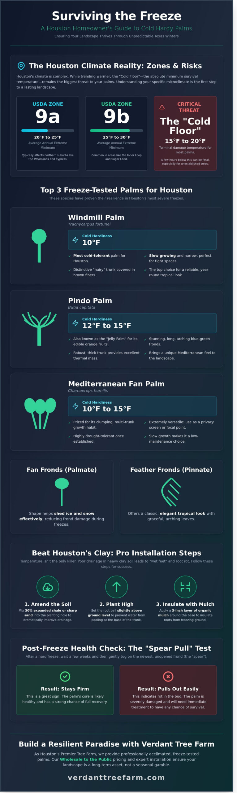 Best Cold Hardy Palms for Houston Landscapes: 2026 Survival Guide