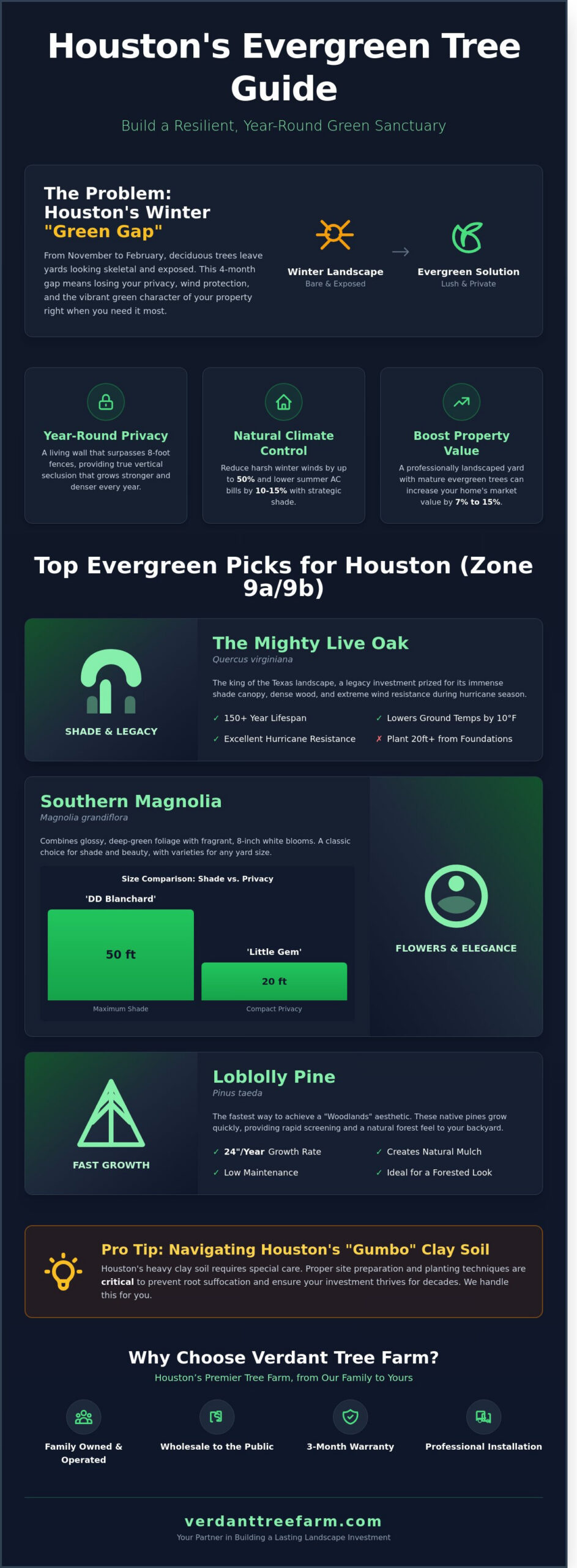 Best Evergreen Trees for Houston: The Ultimate Year-Round Landscape Guide (2026)