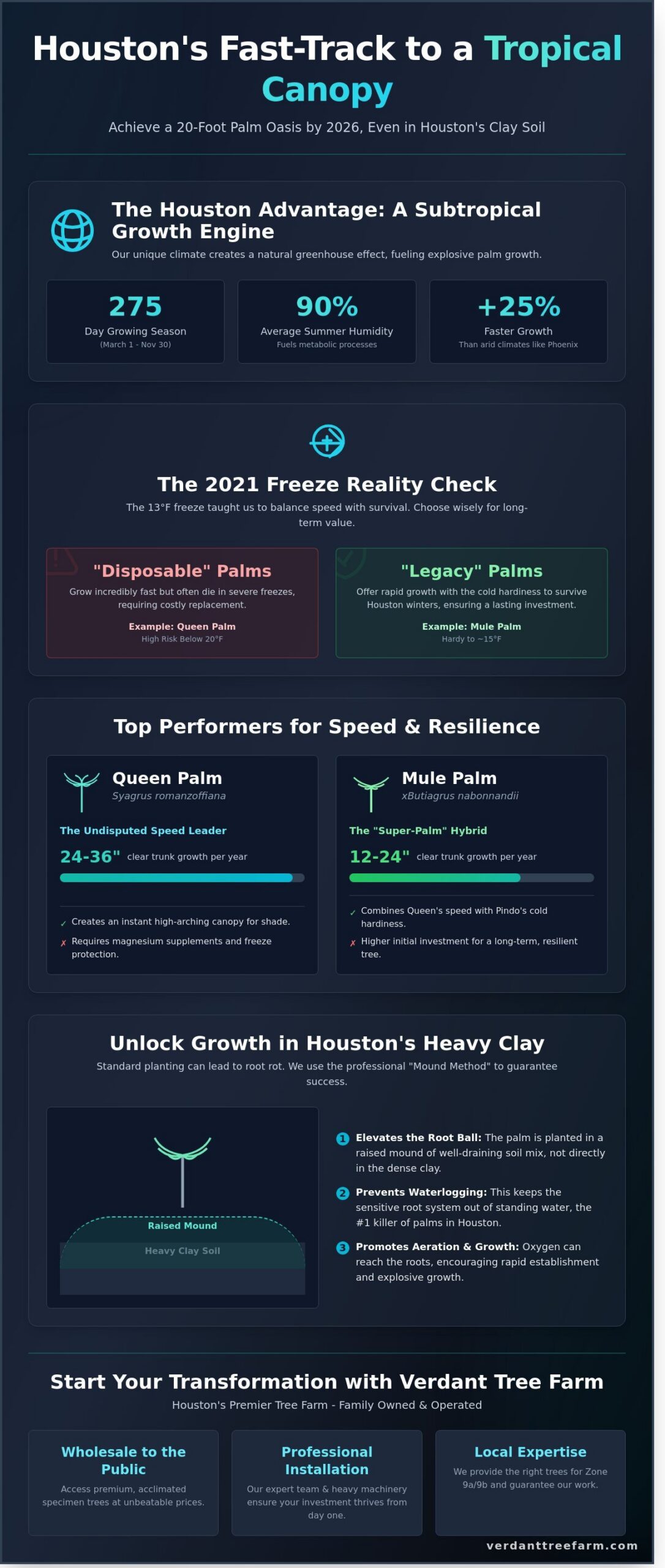 Fast-Growing Palm Trees for Houston: Top Species & 2026 Growth Guide