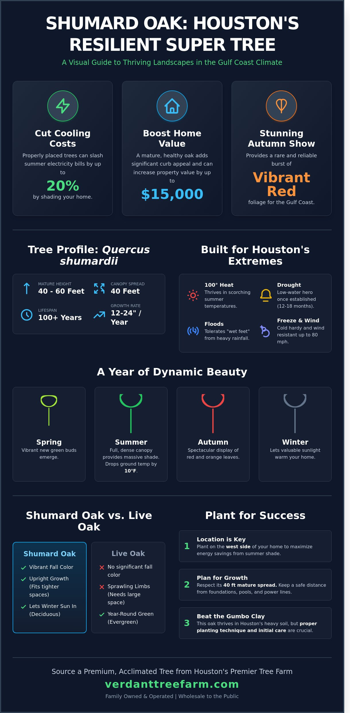 Shumard Oak Houston: The Ultimate Guide to This Texas Native Shade Tree