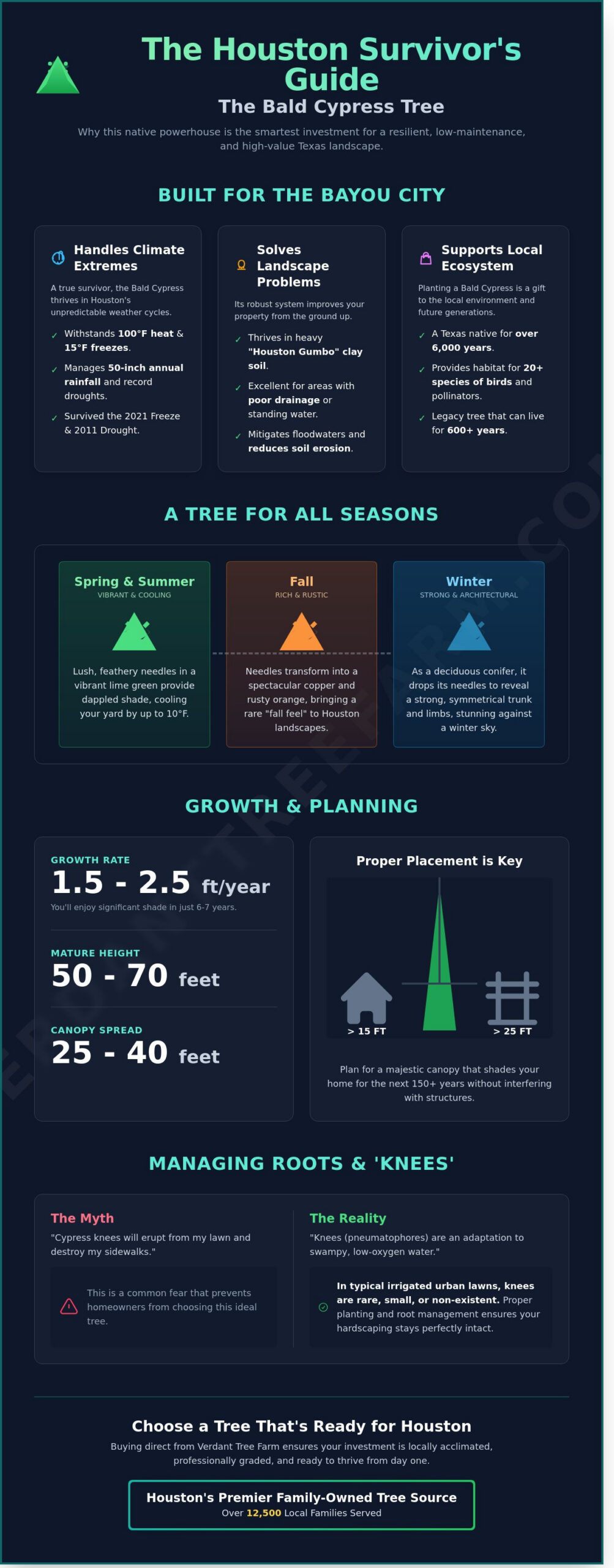 Bald Cypress Tree Houston: The Complete Guide to Planting and Care (2026)