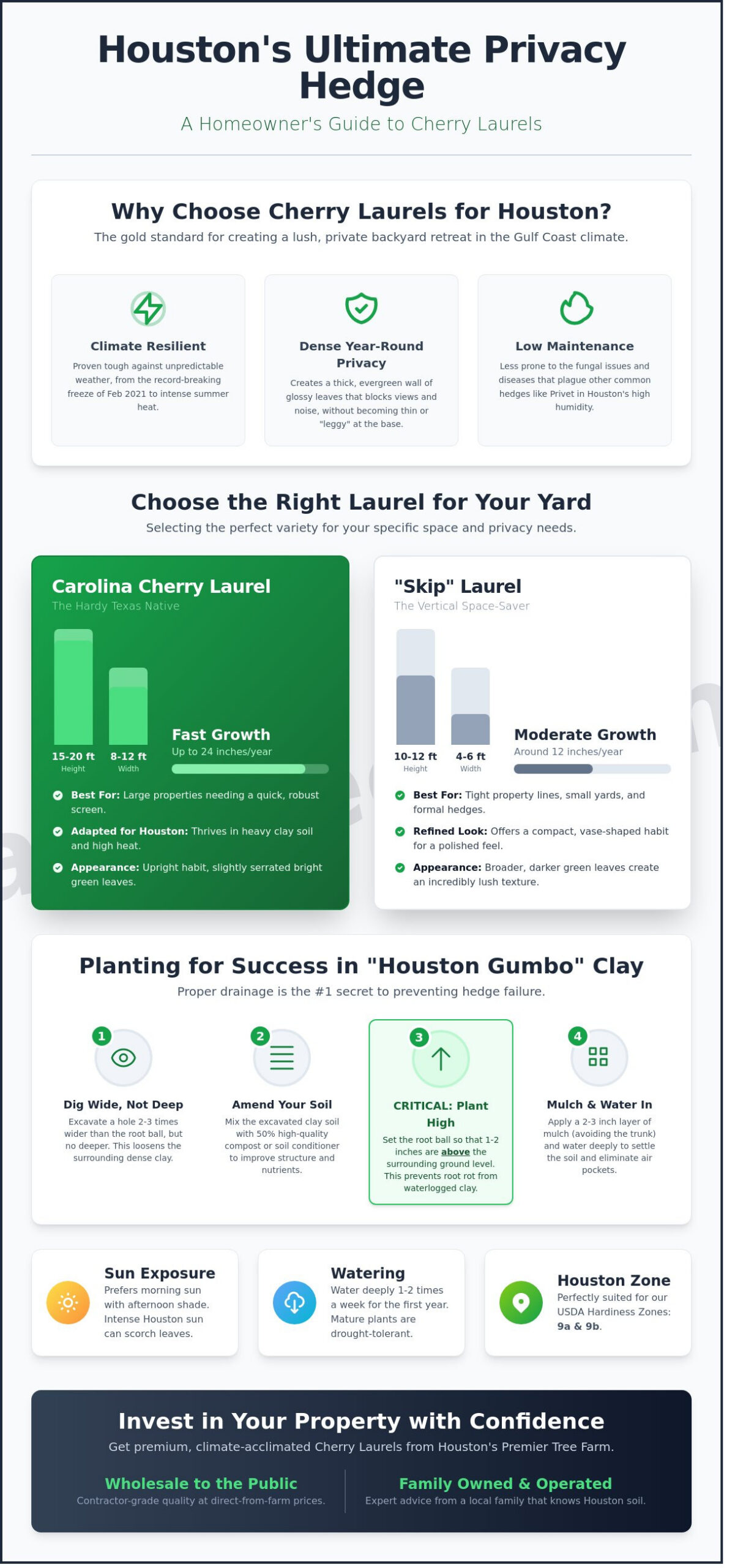 Cherry Laurel Houston: The Ultimate Guide to Privacy Hedges in the Bayou City