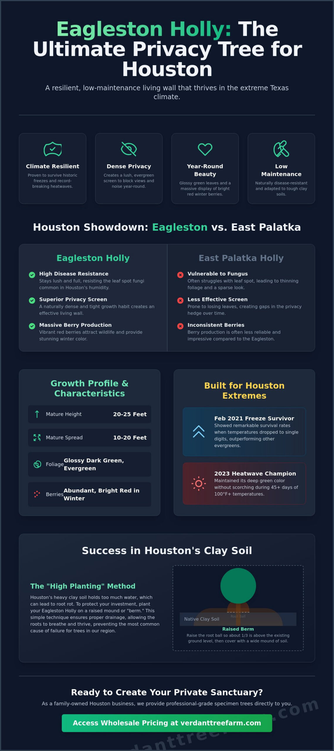Eagleston Holly: The Ultimate Guide for Houston Landscapes in 2026