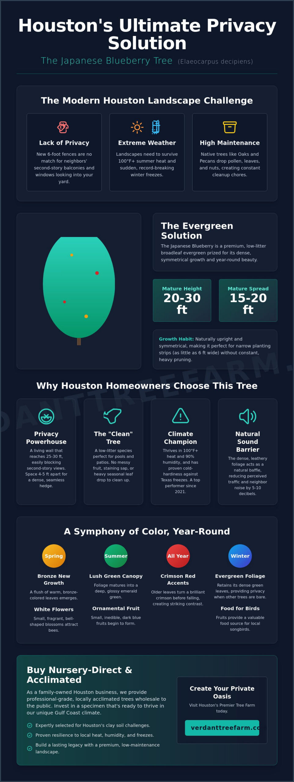 Japanese Blueberry Tree: The Ultimate Houston Privacy & Specimen Guide