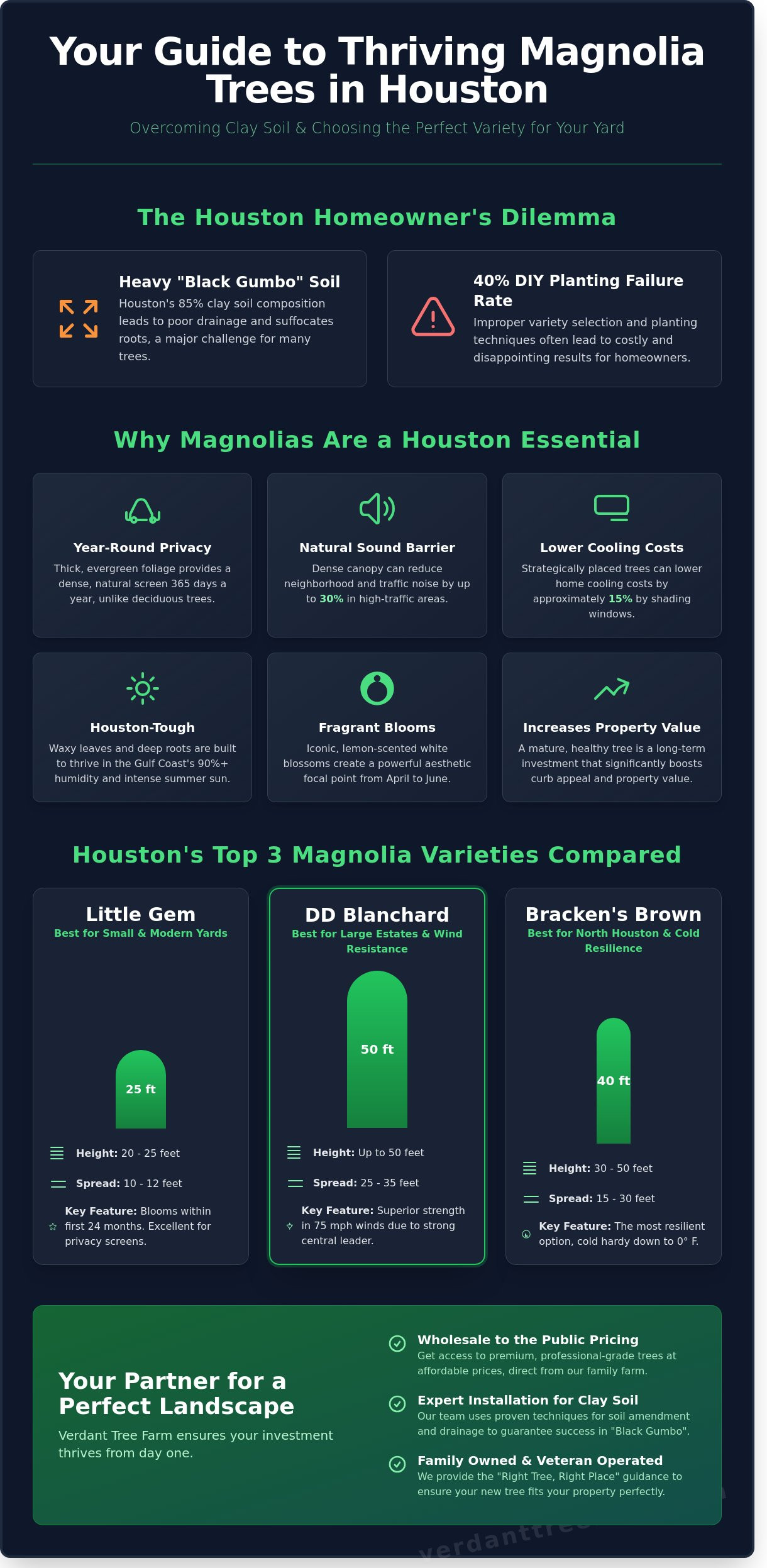 Magnolia Trees Houston: The 2026 Guide to Choosing the Best Variety