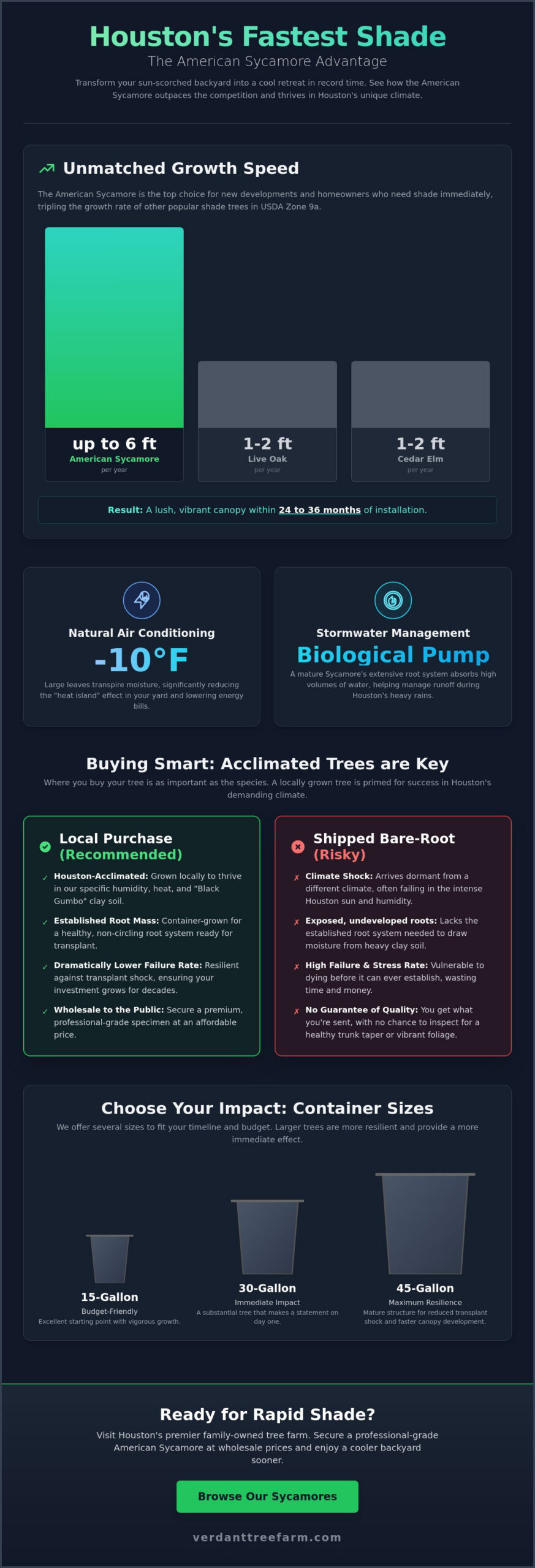 Sycamore Tree Purchase in Houston: The Ultimate Guide to Fast-Growing Shade