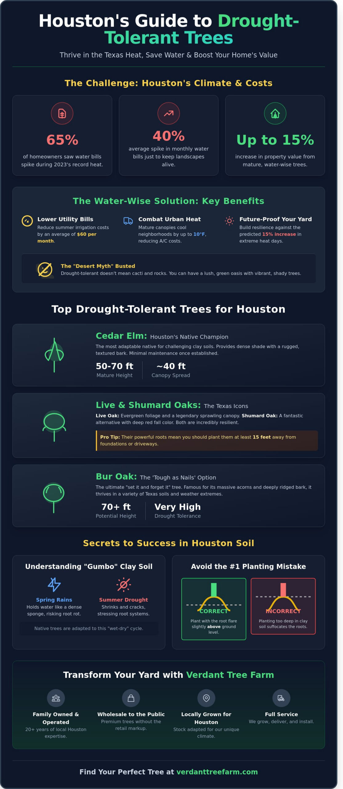 Top 10 Drought Tolerant Trees for Houston: Beautiful, Water-Wise Options