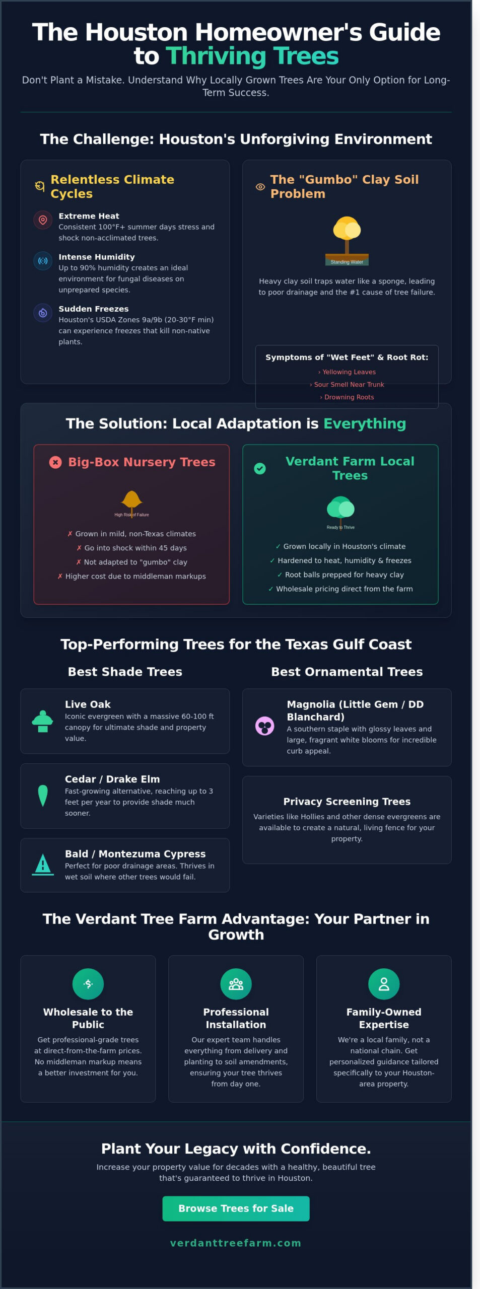 Trees for Sale in Houston: The Complete Buyer’s Guide for 2026