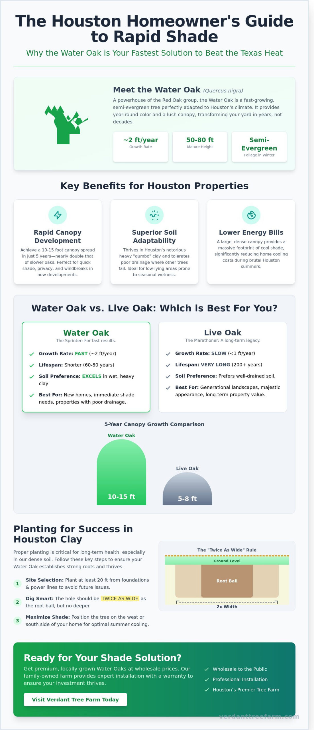 Water Oak Trees in Houston: The Complete Guide to Fast-Growing Shade