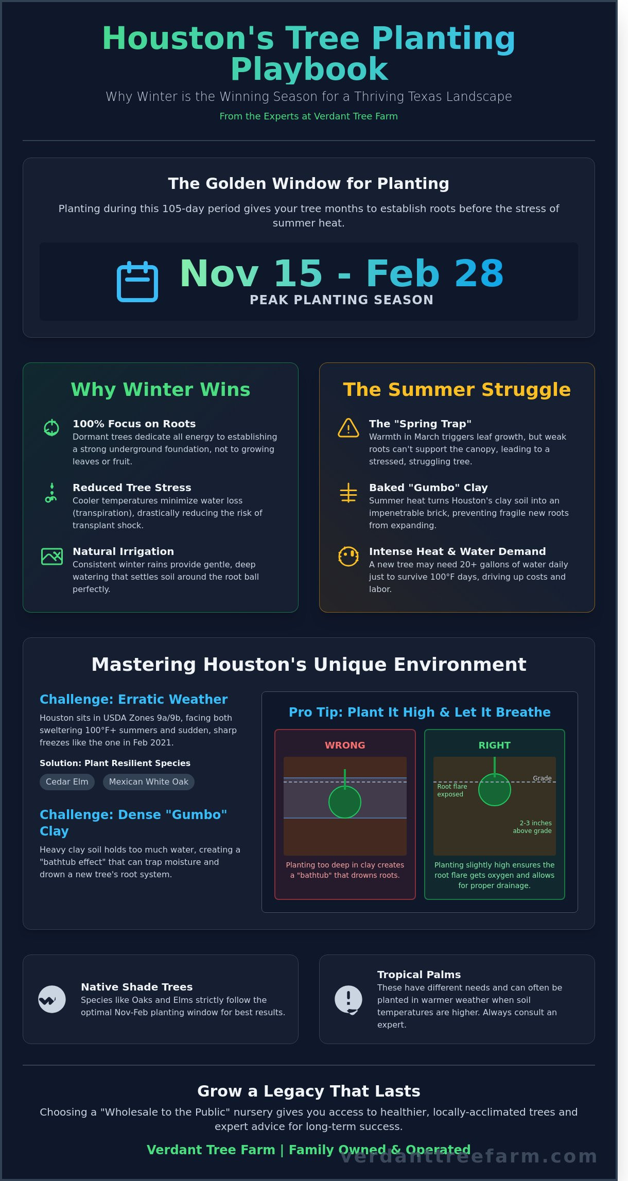 When to Plant Trees in Houston: The Ultimate Seasonal Guide for Success