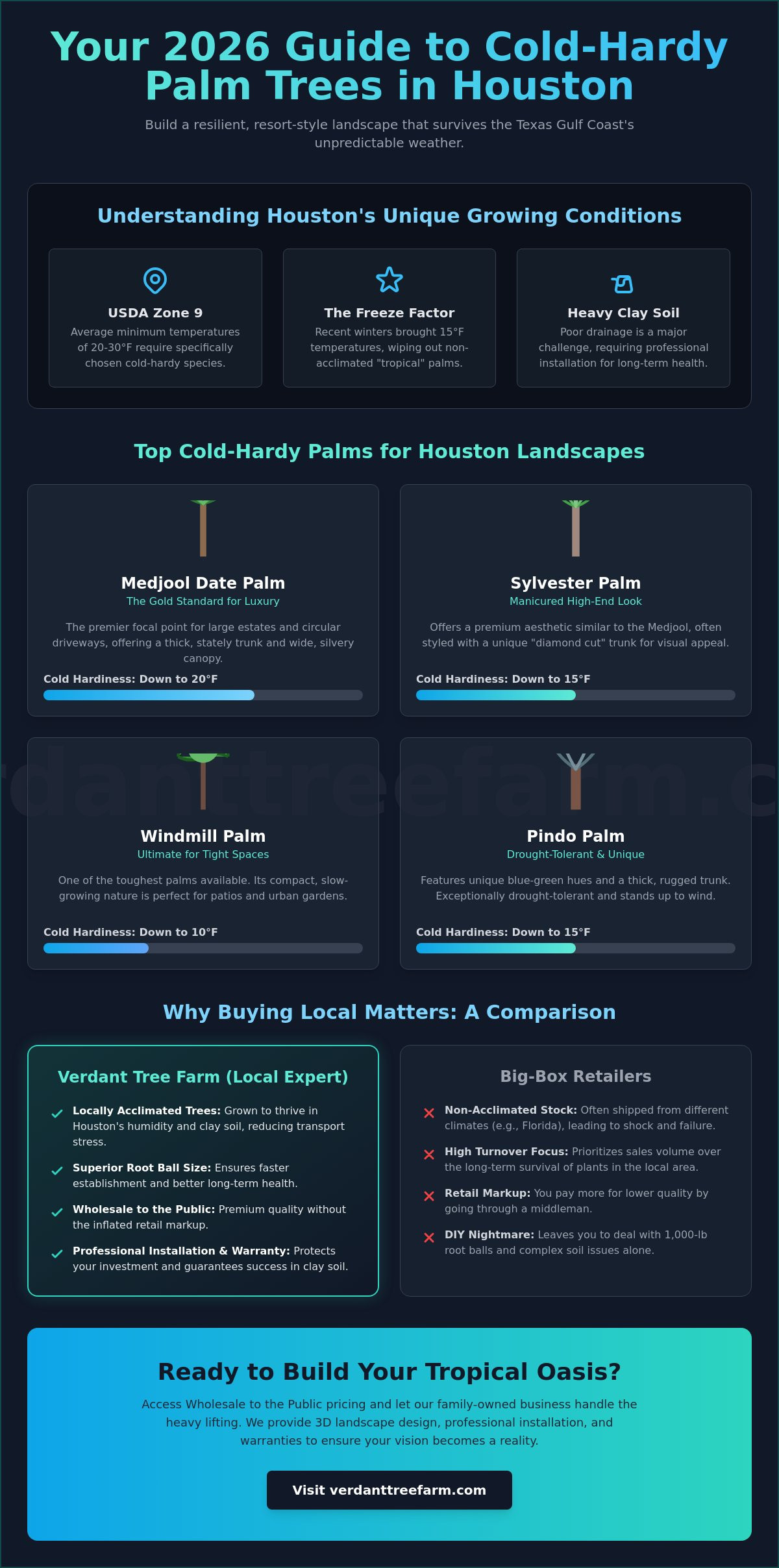 Where to Buy Palm Trees in Houston: The 2026 Local Nursery Guide