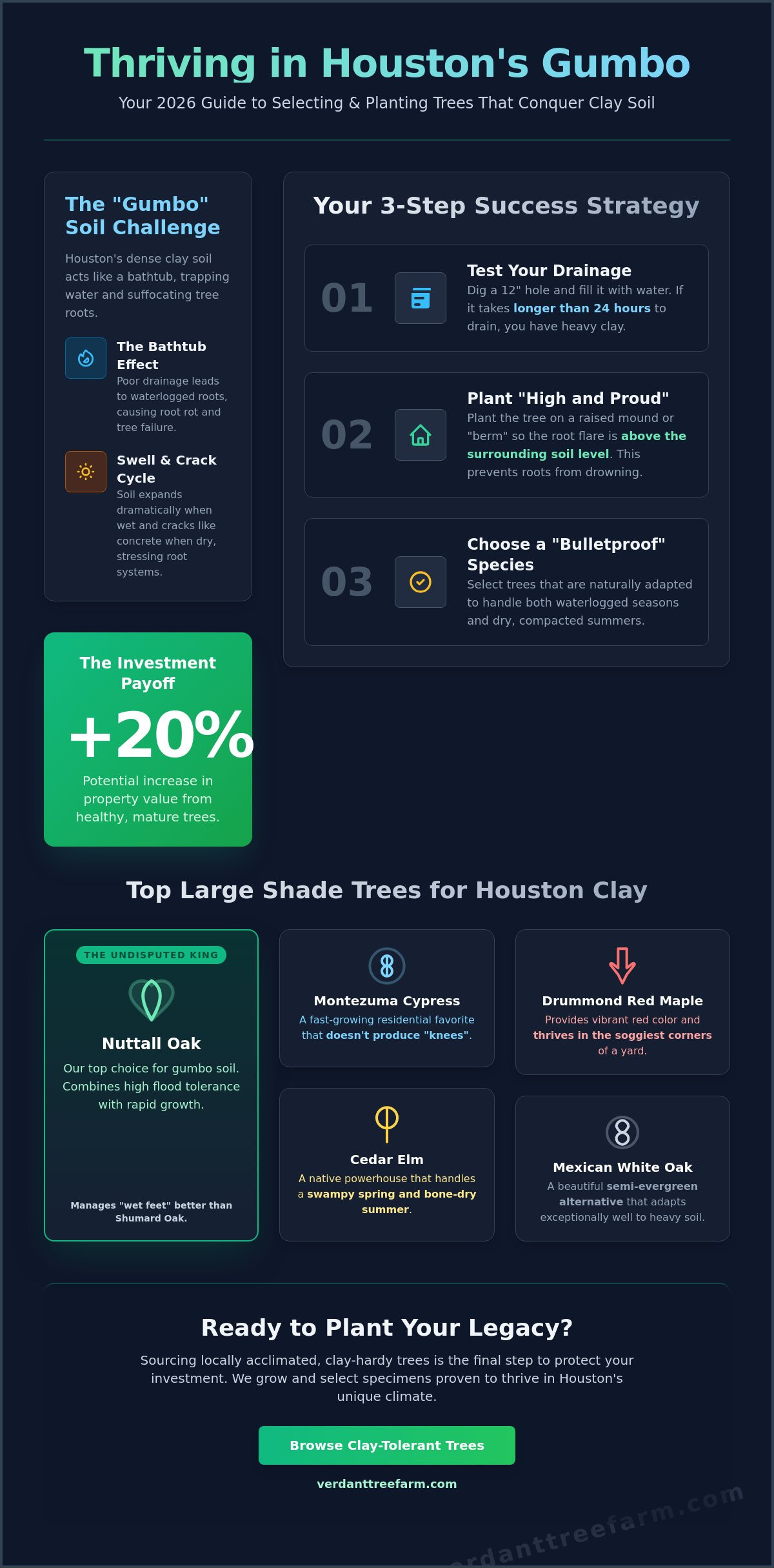 Best Trees for Houston Clay Soil: 2026 Planting & Selection Guide