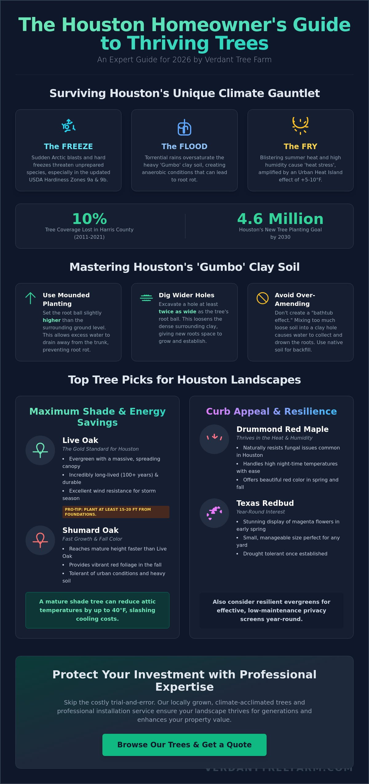 Best Trees to Plant in Houston: The 2026 Expert Guide to Local Resilience