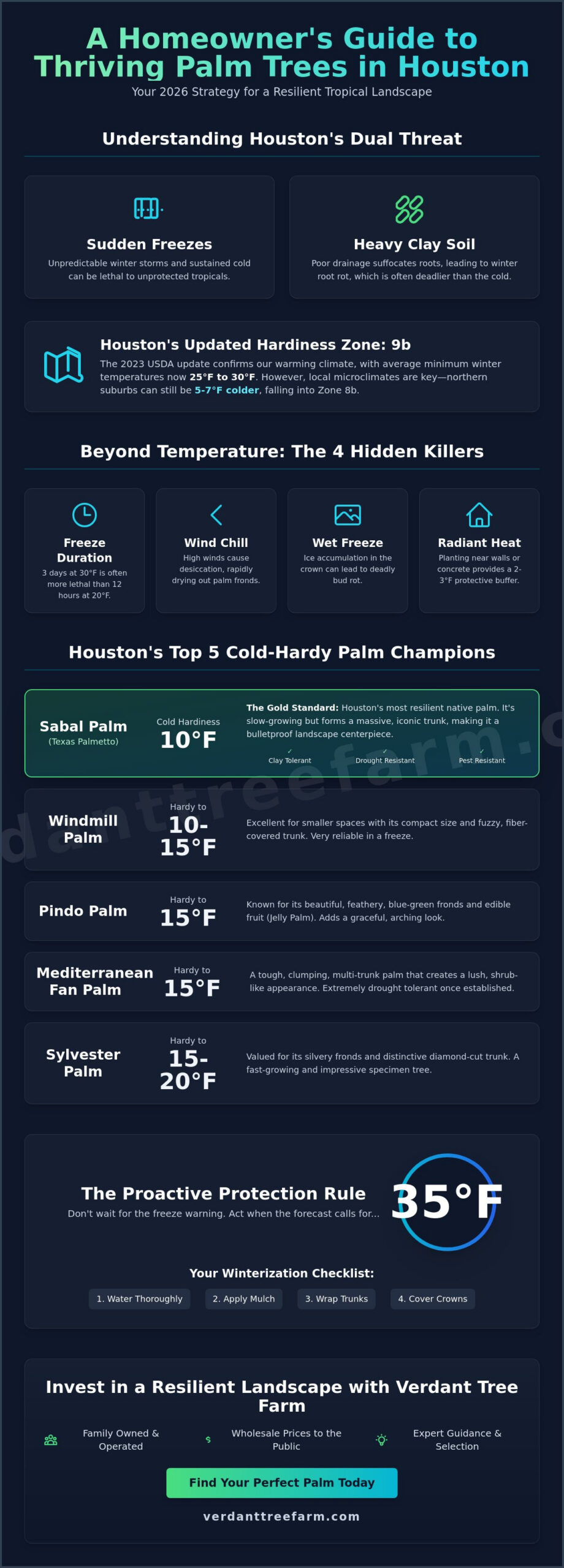 Cold Hardy Palm Trees in Houston: The 2026 Survival & Planting Guide