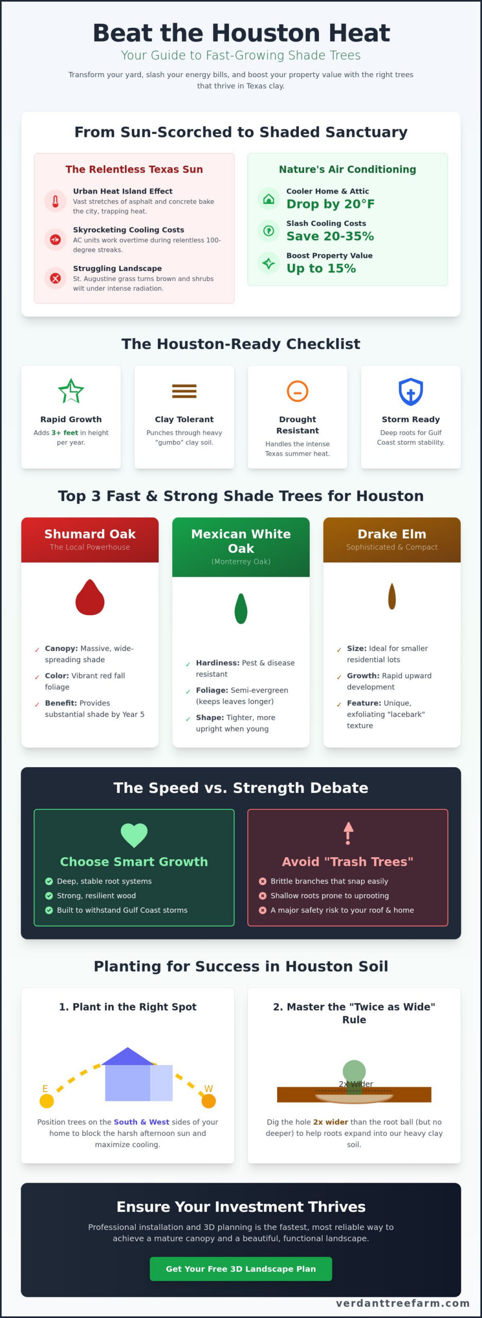 Fast Growing Shade Trees for Houston: Beat the Texas Heat Quickly