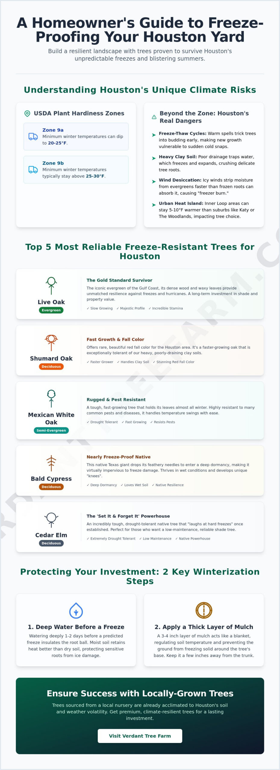 Houston Freeze Resistant Trees: The Top 12 Picks for a Resilient Landscape