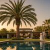 Medjool Date Palm Care in Houston: The Complete 2026 Guide