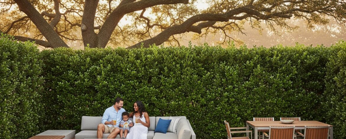 Nellie R Stevens Holly Privacy Hedge: The Ultimate Houston Guide