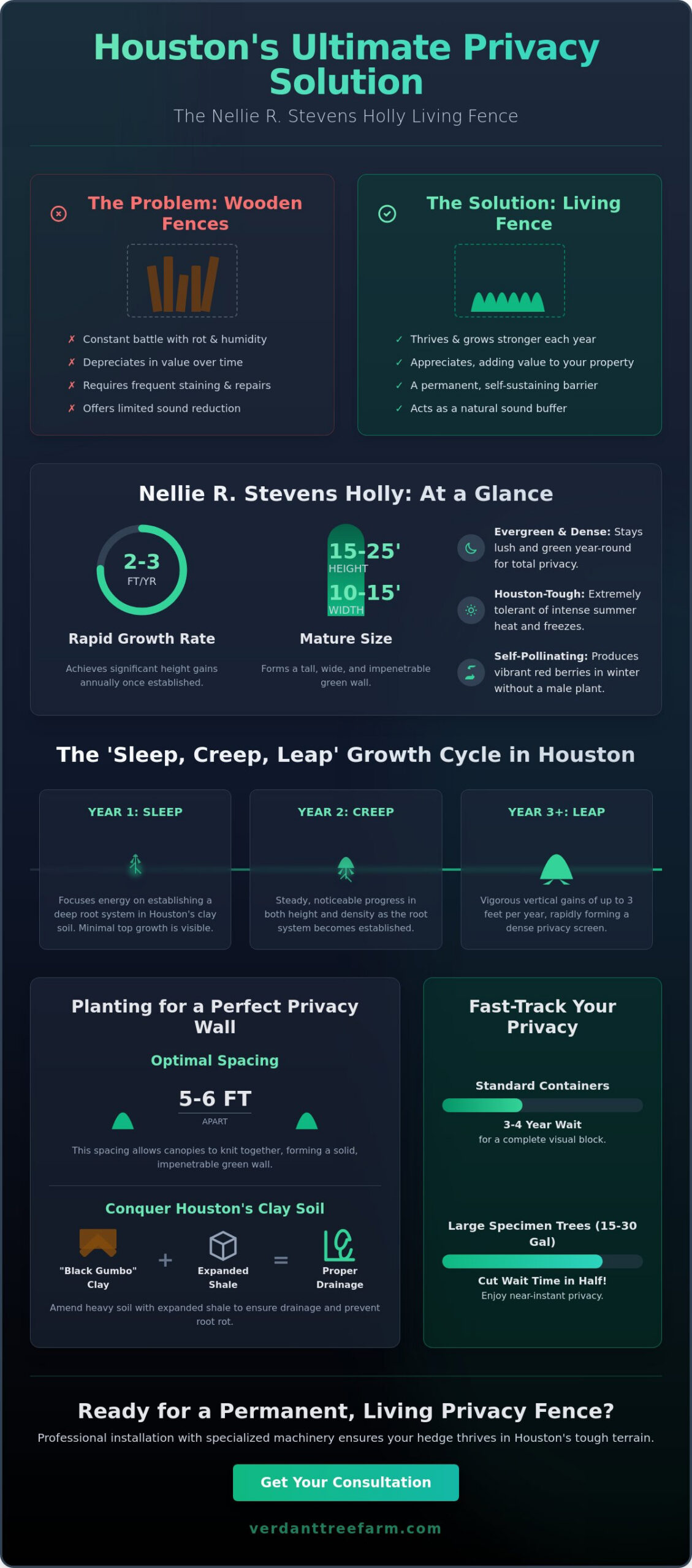 Nellie R Stevens Holly Privacy Hedge: The Ultimate Houston Guide
