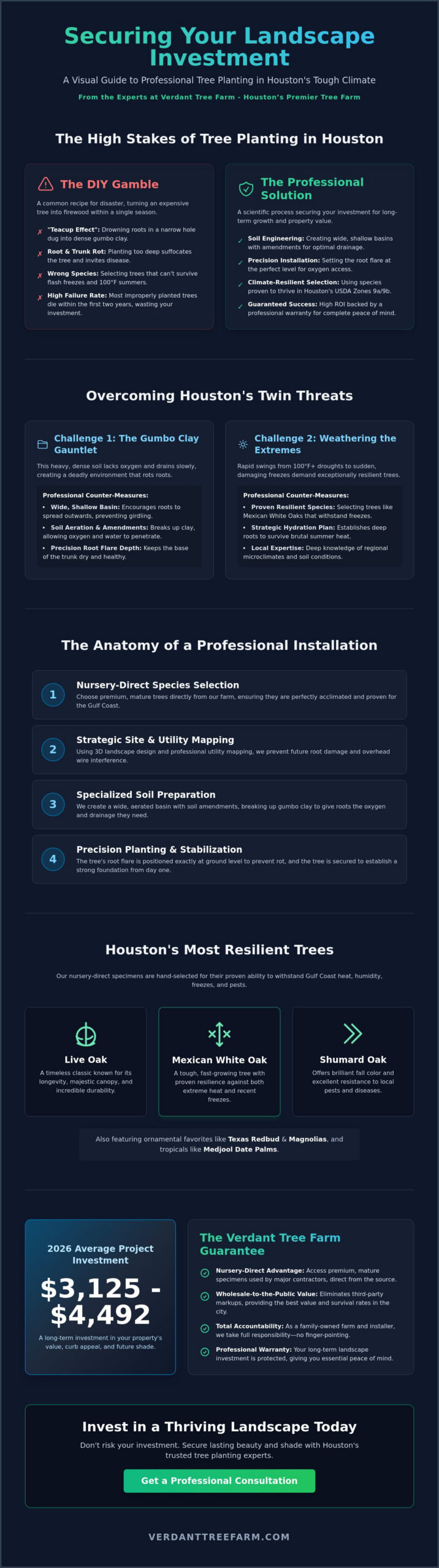Professional Tree Planting in Houston: The Complete 2026 Guide to a Lush Landscape