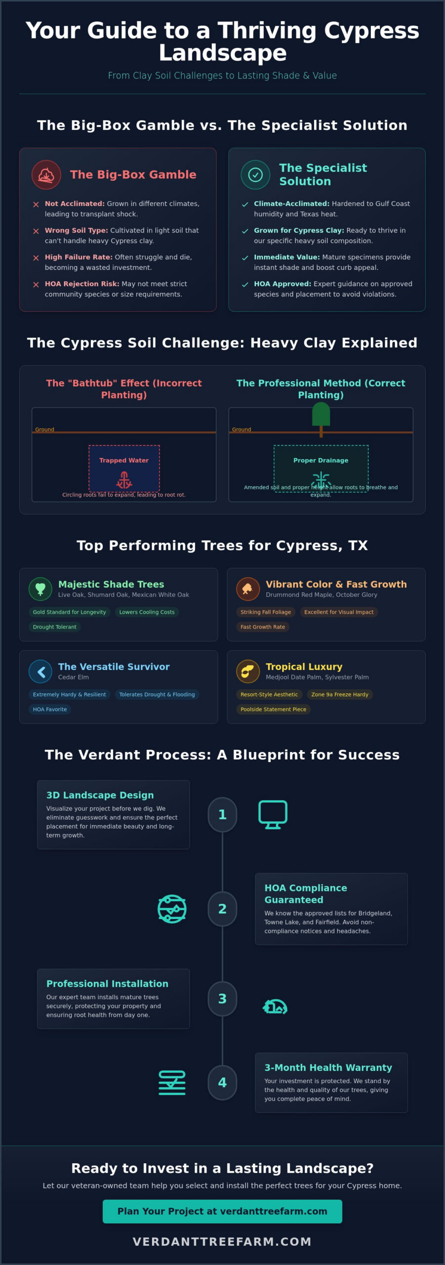Tree Nursery Cypress TX: The Homeowner’s Guide to Climate-Resilient Landscapes