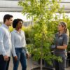 7 Signs of a Healthy Tree Nursery: How to Spot Quality Before You Buy