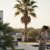 Common Palm Tree Problems in Houston: A 2026 Homeowner’s Guide to Diagnosis and Care