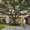 Full Grown Trees for Sale in Houston: The 2026 Guide to Instant Landscapes