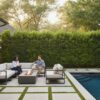 Evergreen Trees for Privacy in Houston: The 2026 Homeowner’s Guide