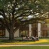 Best Shade Trees for Houston: The 2026 Homeowner’s Guide to Cooling Your Landscape