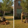 Professional Tree Installation vs. DIY: The 2026 Houston Homeowner’s Guide