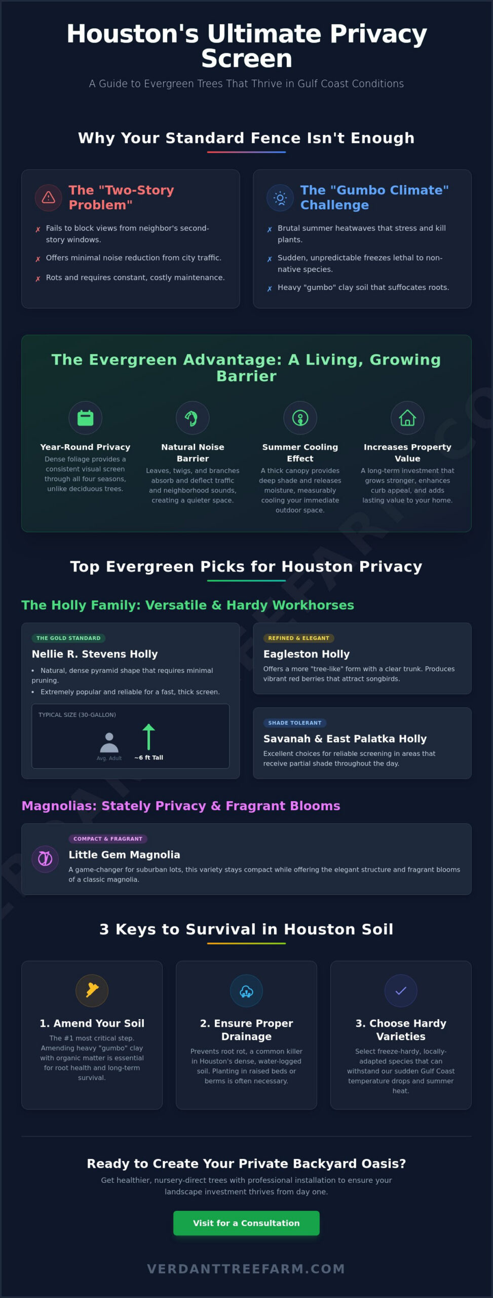 Evergreen Trees for Privacy in Houston: The 2026 Homeowner’s Guide