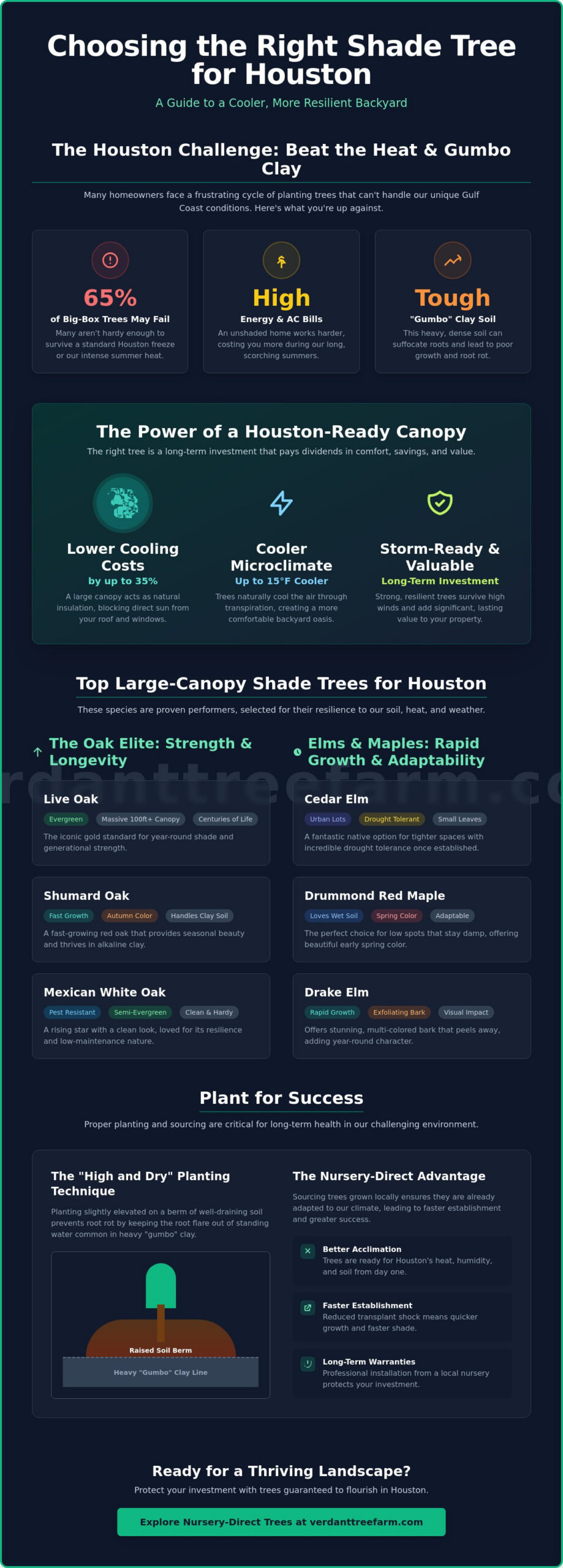 Best Shade Trees for Houston: The 2026 Homeowner’s Guide to Cooling Your Landscape