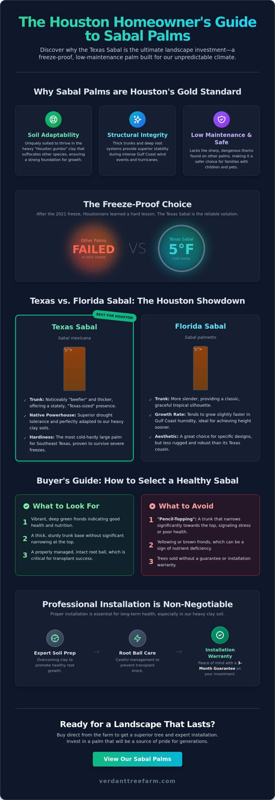 Sabal Palm for Sale in Houston: The 2026 Buyer’s Guide to Native Resilience