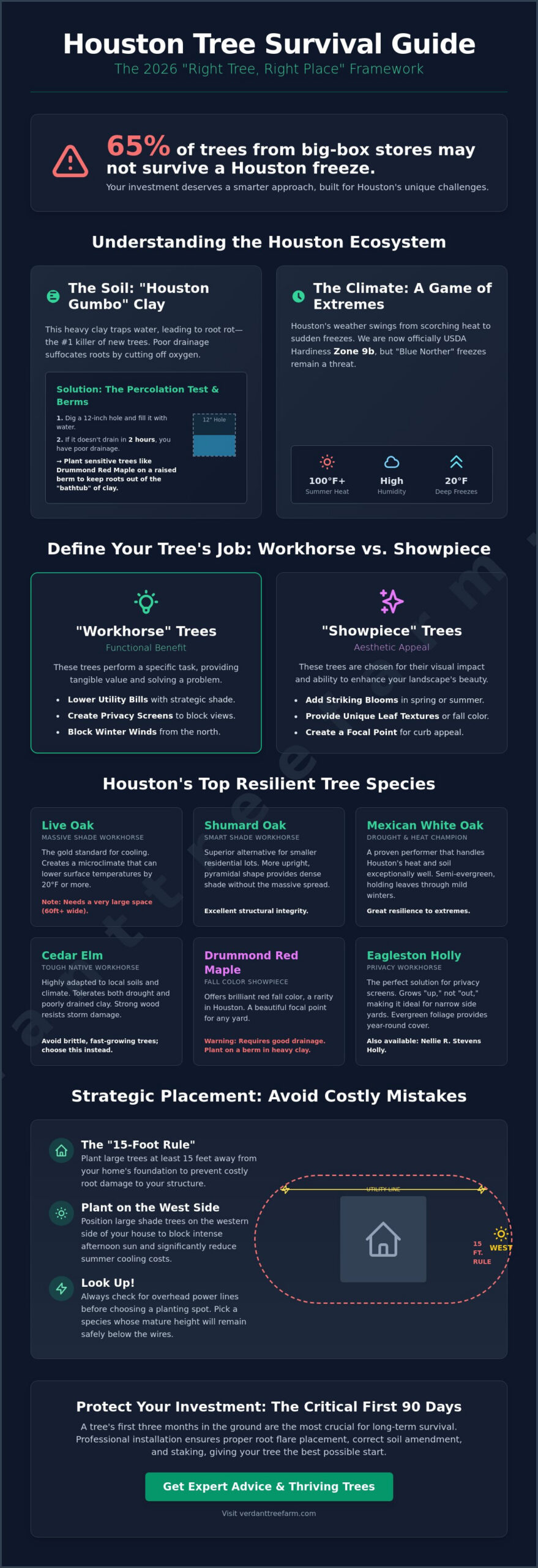 How to Choose the Right Tree for My Houston Yard: The 2026 Homeowner’s Guide