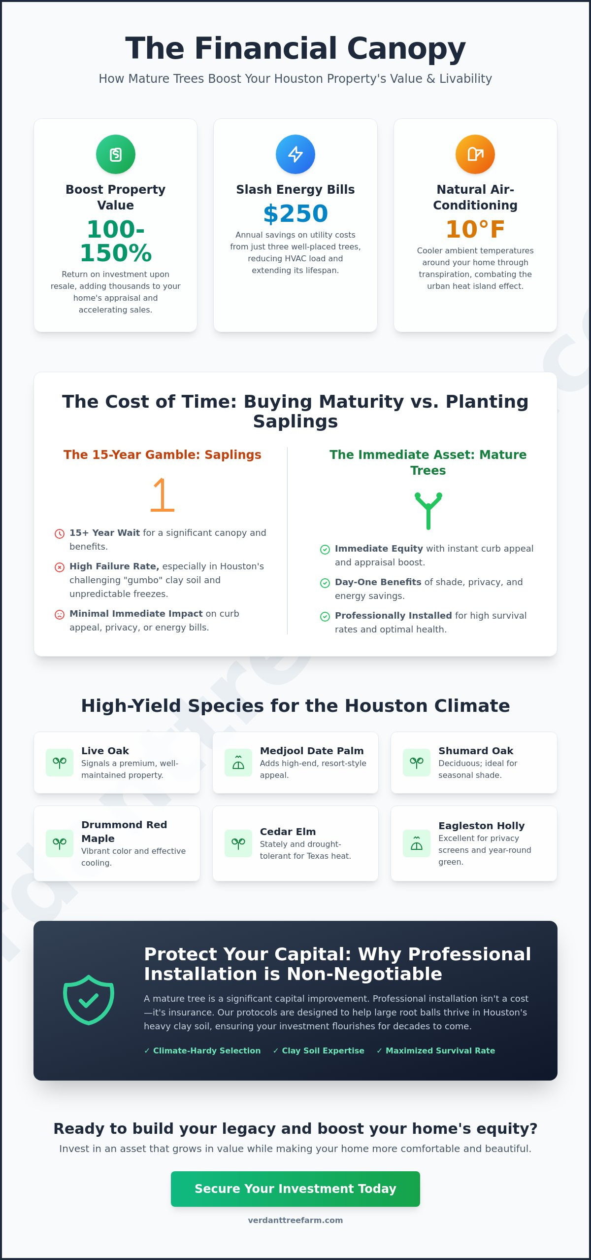 The Investment Value of Mature Trees in Houston: A 2026 Property Owner’s Guide