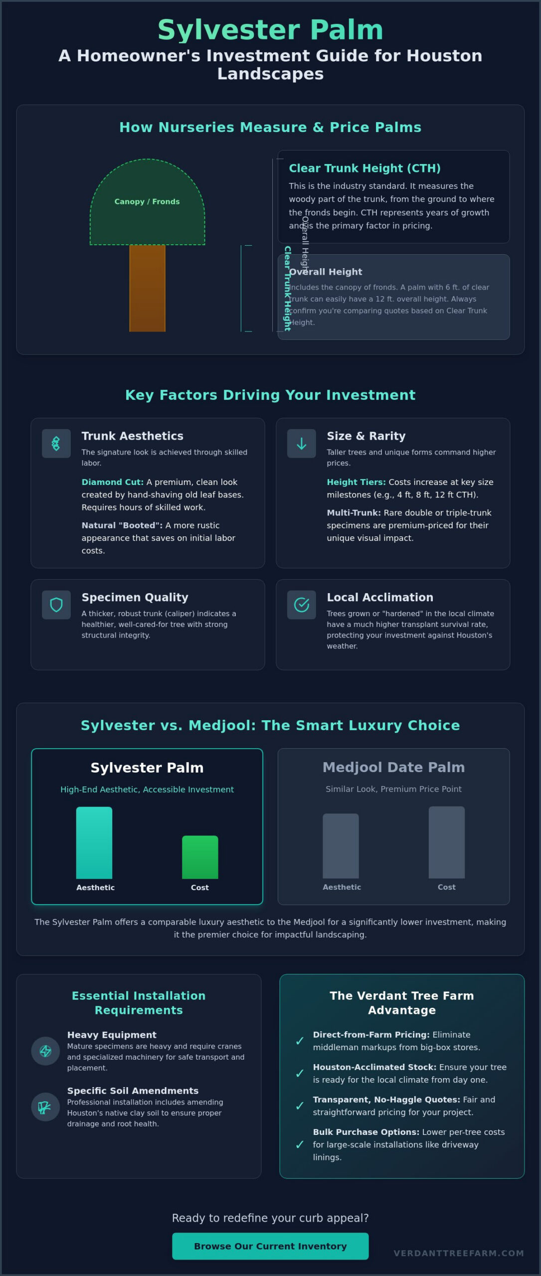 Cost of Sylvester Palm in Houston: 2026 Price & Value Guide