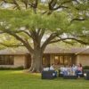 Montezuma Cypress Houston: The Ultimate Guide to This Majestic Fast-Growing Tree