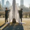 How to Protect Trees from a Texas Freeze: The 2026 Houston Guide