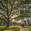 Best Trees for Houston Commercial Properties: The 2026 ROI & Resilience Guide
