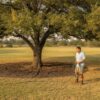 Signs of Underwatered Trees in Texas: Houston’s 2026 Survival Guide