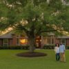 Best Trees for Clay Soil in Houston: 2026 Homeowner’s Guide