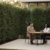 Eagleston Holly in Houston: The Ultimate Privacy & Screening Guide (2026)