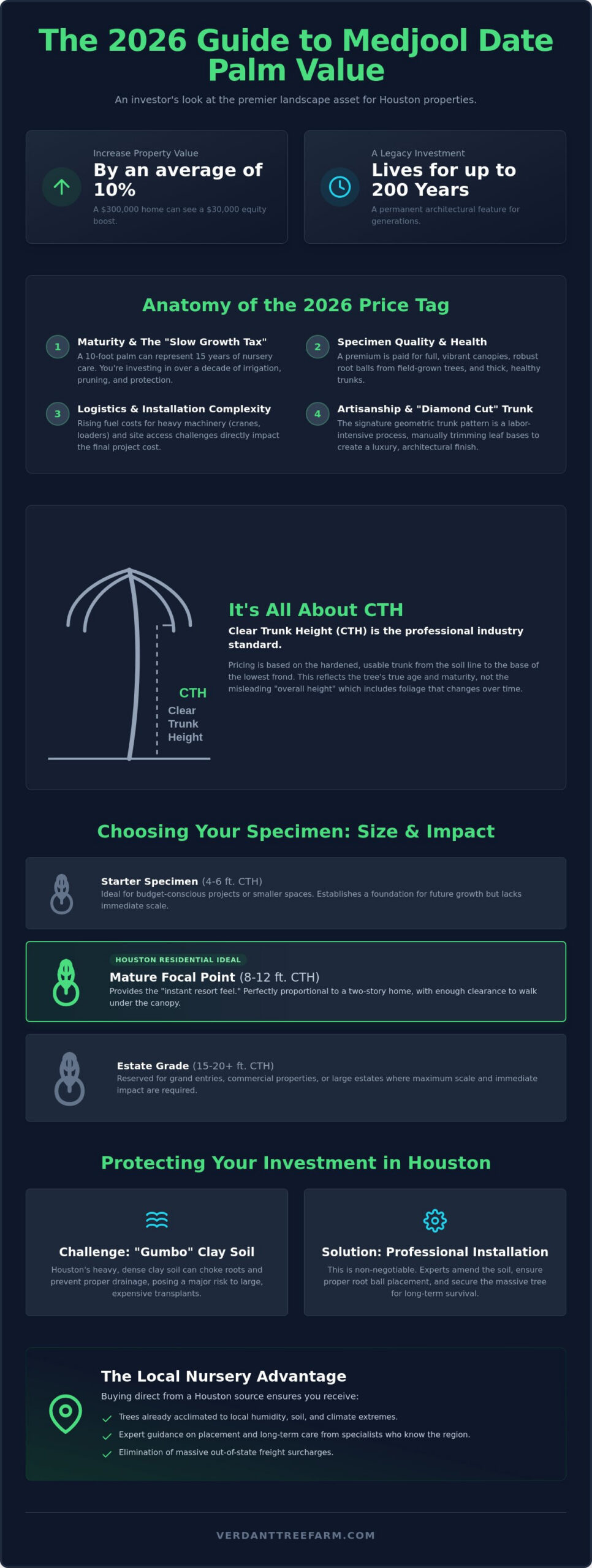 Medjool Date Palm Price 2026: A Houston Homeowner’s Investment Guide